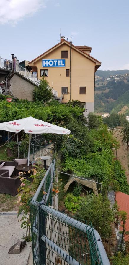 Hotel Alina Cangas del Narcea Kültér fotó