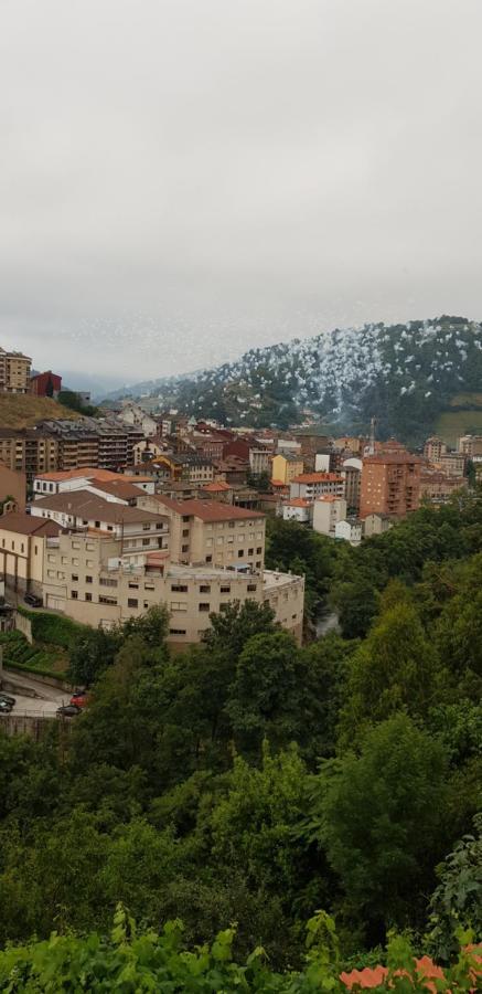 Hotel Alina Cangas del Narcea Kültér fotó