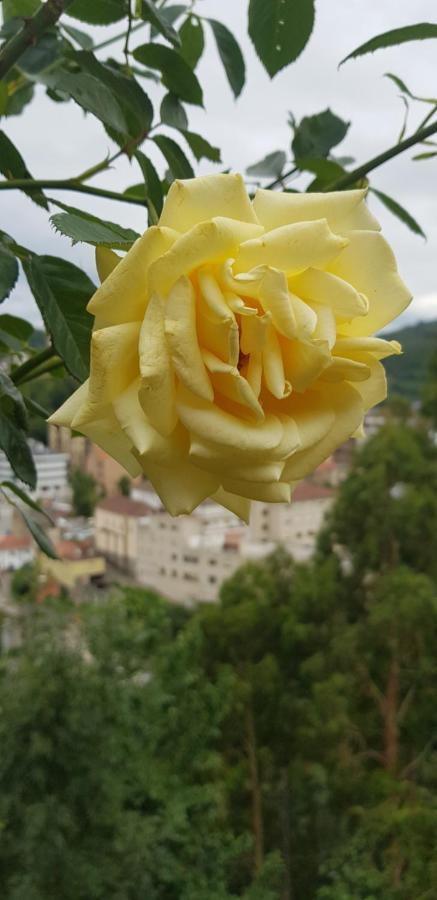 Hotel Alina Cangas del Narcea Kültér fotó